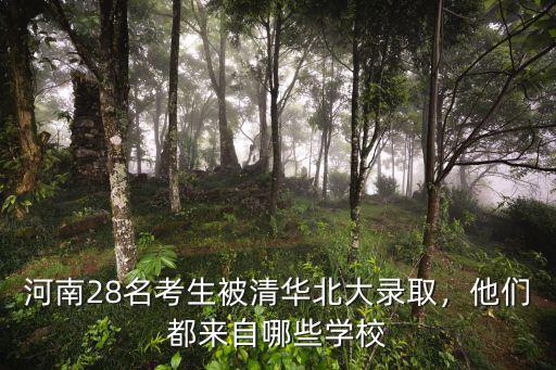 河南28名考生被清華北大錄取，他們都來(lái)自哪些學(xué)校