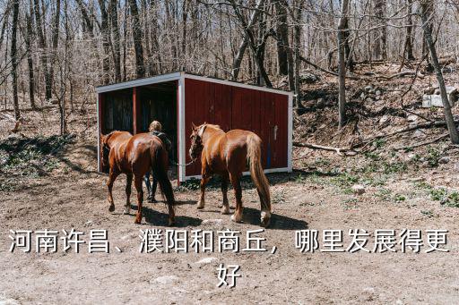 河南濮陽市靠近哪里,河南濮陽怎么樣