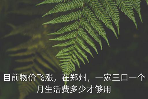 河南三口之家一個月花費(fèi)多少,現(xiàn)在一個三口之家