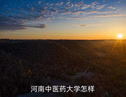 河南中醫藥大學怎樣