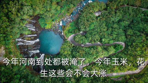 今年河南到處都被淹了，今年玉米，花生這些會不會大漲