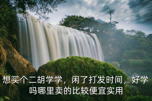 想買個二胡學學，閑了打發(fā)時間，好學嗎哪里賣的比較便宜實用