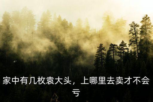 家中有幾枚袁大頭，上哪里去賣才不會(huì)虧
