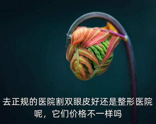 去正規(guī)的醫(yī)院割雙眼皮好還是整形醫(yī)院呢，它們價(jià)格不一樣嗎