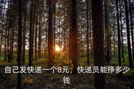 信陽快遞單子多少錢一張,快遞員能掙多少錢