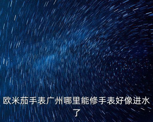 鄭州哪里能翻新手表,歐米茄手表廣州哪里能修