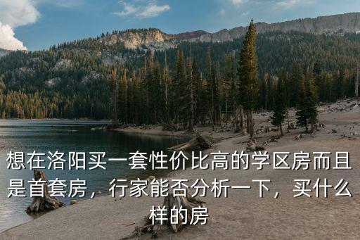 想在洛陽買一套性價比高的學區房而且是首套房，行家能否分析一下，買什么樣的房
