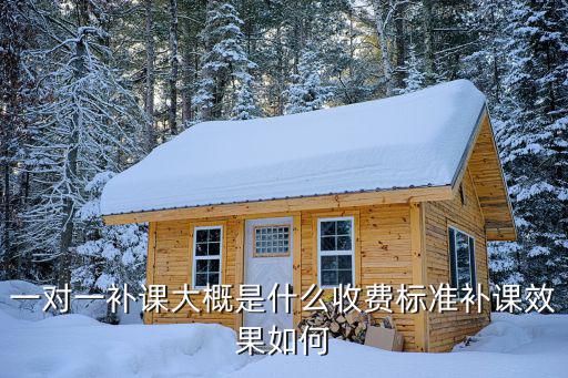 一對一補(bǔ)課大概是什么收費(fèi)標(biāo)準(zhǔn)補(bǔ)課效果如何