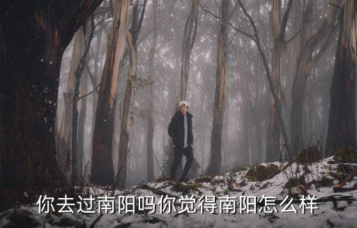 你去過南陽嗎你覺得南陽怎么樣