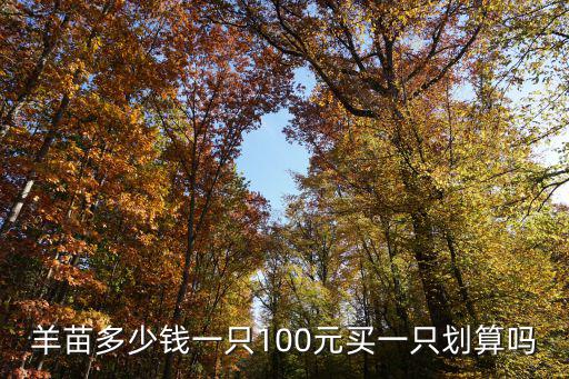 羊苗多少錢一只100元買一只劃算嗎