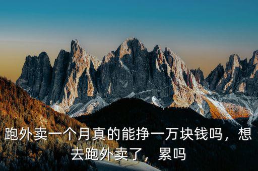 周口跑外賣單價怎么樣,送外賣怎么樣