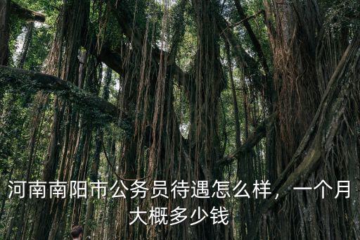 河南南陽市公務(wù)員待遇怎么樣，一個(gè)月大概多少錢