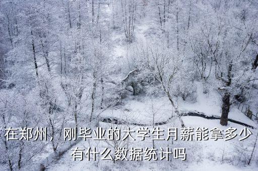 在鄭州，剛畢業(yè)的大學(xué)生月薪能拿多少有什么數(shù)據(jù)統(tǒng)計(jì)嗎