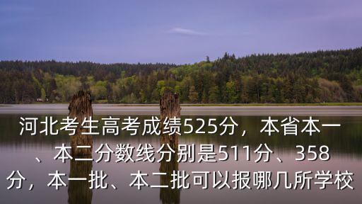 河北河南1本2本分?jǐn)?shù)線是多少,本二分?jǐn)?shù)線分別是511分
