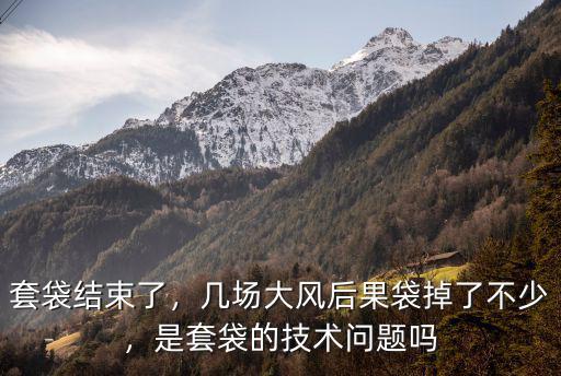 套袋結束了，幾場大風后果袋掉了不少，是套袋的技術問題嗎