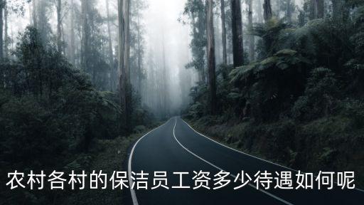 農(nóng)村各村的保潔員工資多少待遇如何呢