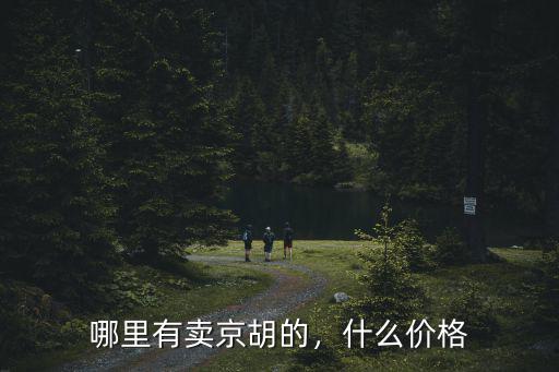 新鄉哪里有教京胡的,哪里有賣京胡的