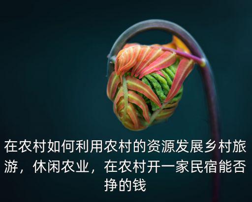 在農村如何利用農村的資源發展鄉村旅游，休閑農業，在農村開一家民宿能否掙的錢