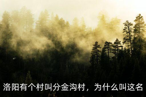 洛陽最窮的村是哪里,洛陽有個(gè)村叫分金溝村