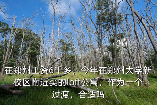 在鄭州工資6千多，今年在鄭州大學新校區附近買的loft公寓，作為一個過渡，合適嗎