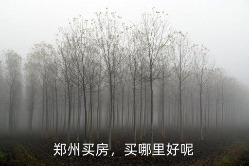 鄭州買房，買哪里好呢