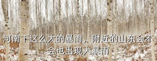 河南下這么大的暴雨，附近的山東會不會也出現大暴雨