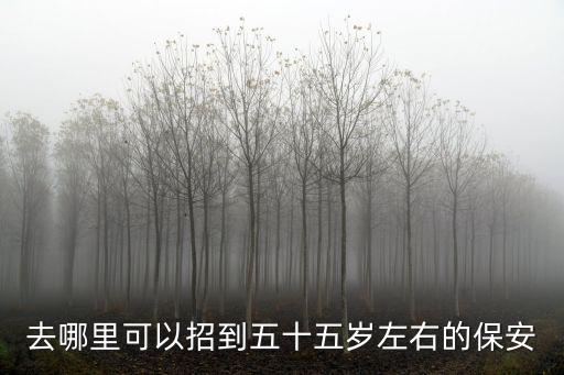 去哪里可以招到五十五歲左右的保安