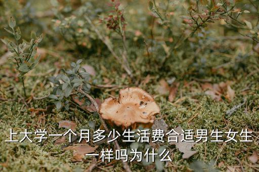 上大學一個月多少生活費合適男生女生一樣嗎為什么
