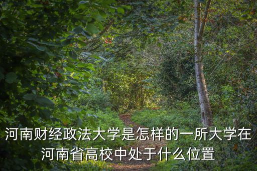 河南財經政法大學是怎樣的一所大學在河南省高校中處于什么位置