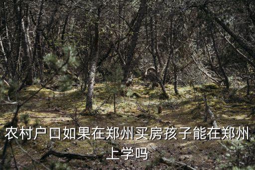 外來人口在鄭州怎么上小學,來鄭州上普通小學值不