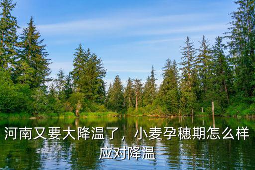 河南怎么降溫了,河南又要大降溫了