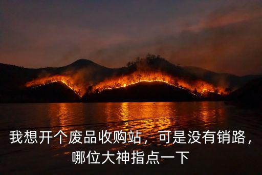 我想開個(gè)廢品收購站，可是沒有銷路，哪位大神指點(diǎn)一下