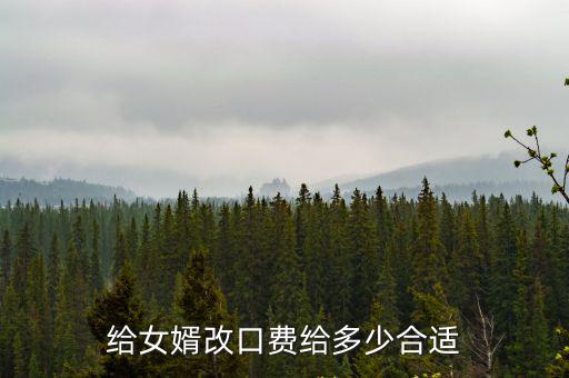 給女婿改口費給多少合適