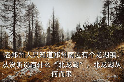 老鄭州人只知道鄭州南邊有個龍湖鎮，從沒聽說有什么“北龍湖”，北龍湖從何而來