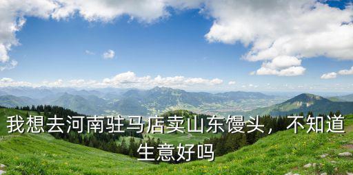 我想去河南駐馬店賣山東饅頭，不知道生意好嗎