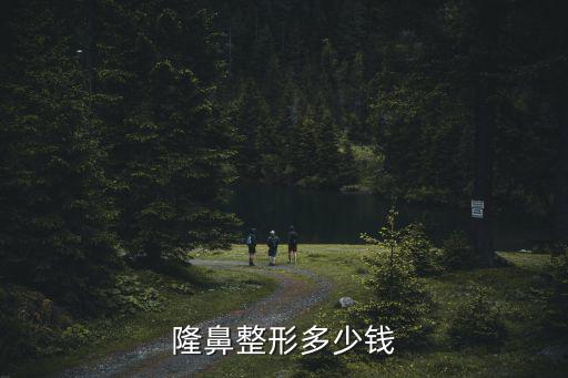 隆鼻整形多少錢(qián)