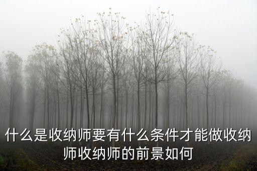 什么是收納師要有什么條件才能做收納師收納師的前景如何