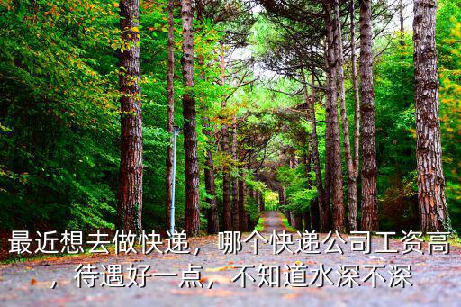 最近想去做快遞，哪個快遞公司工資高，待遇好一點，不知道水深不深