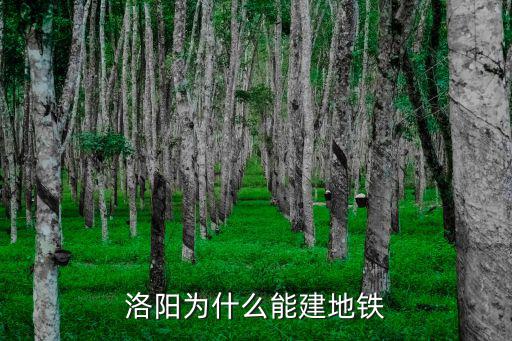 洛陽為什么能建地鐵