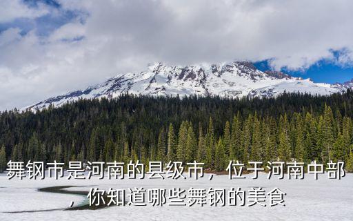河南舞鋼哪里有賣的嗎,舞鋼市是河南的縣級市