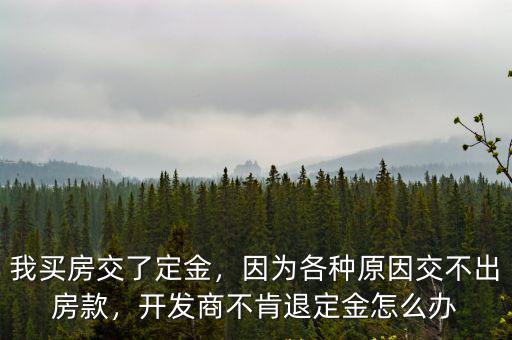 我買房交了定金，因為各種原因交不出房款，開發商不肯退定金怎么辦