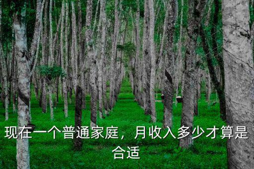 現在一個普通家庭，月收入多少才算是合適