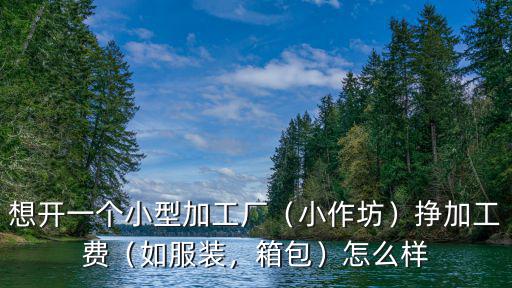 想開一個小型加工廠（小作坊）掙加工費（如服裝，箱包）怎么樣