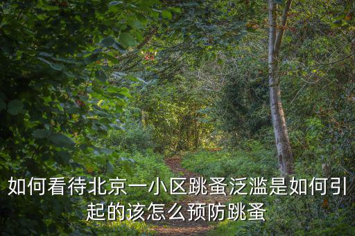 如何看待北京一小區跳蚤泛濫是如何引起的該怎么預防跳蚤