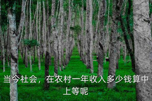 當(dāng)今社會，在農(nóng)村一年收入多少錢算中上等呢