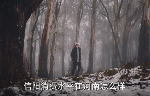 信陽維密KTV怎么消費,信陽消費水平怎么樣