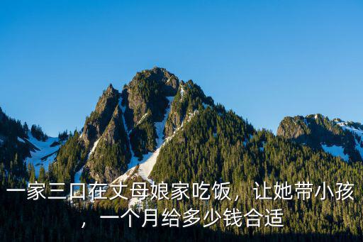 一家三口在丈母娘家吃飯，讓她帶小孩，一個月給多少錢合適