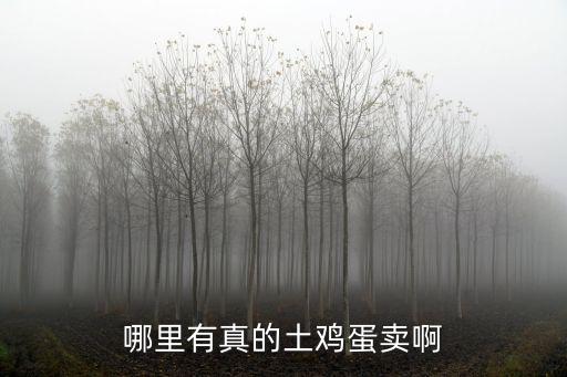鶴壁山區哪里有土雞蛋,哪里有真的土雞蛋賣啊