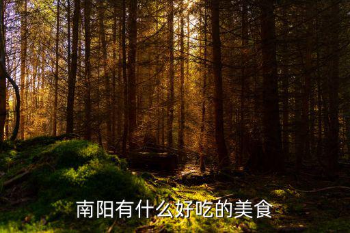 南陽有什么好吃的美食