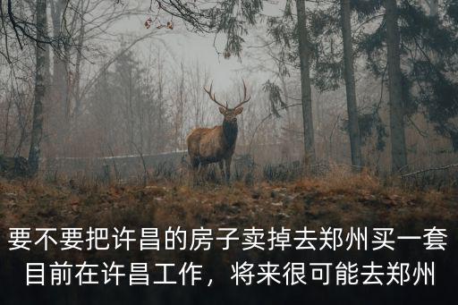 要不要把許昌的房子賣(mài)掉去鄭州買(mǎi)一套目前在許昌工作，將來(lái)很可能去鄭州